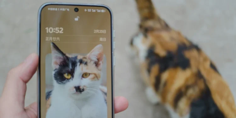 Mengenal Apa Itu Nits Biar Nggak Salah Pilih HP dengan Layar Bagus