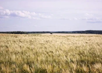 Waspada Cuaca Ekstrem! Ini Prediksi Lengkap Musim Hujan