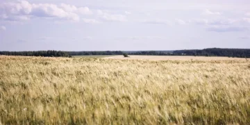 Waspada Cuaca Ekstrem! Ini Prediksi Lengkap Musim Hujan