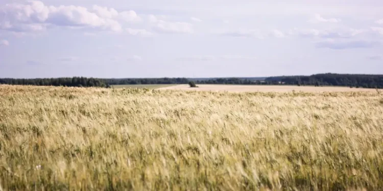 Waspada Cuaca Ekstrem! Ini Prediksi Lengkap Musim Hujan