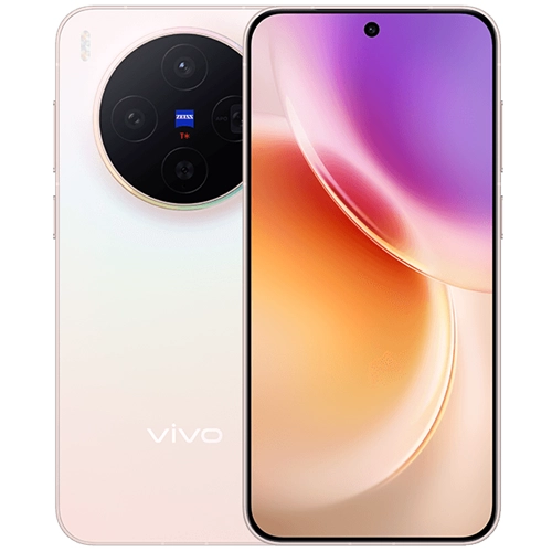 vivo X300