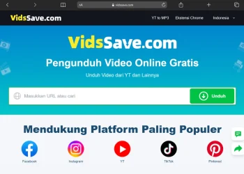 Download Video Pinterest dan Twitter Tanpa Aplikasi