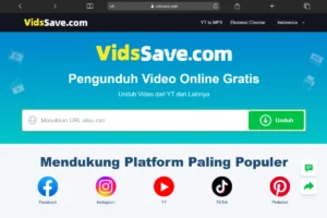 Download Video Pinterest dan Twitter Tanpa Aplikasi